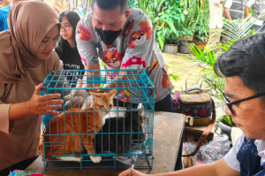 185 Ekor HPR di Ulujami Divaksinasi Rabies
